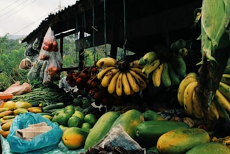 A market stall displaying a variety of fruits and vegetables. There are bunches of bananas hanging from the roof, along with bags of tomatoes and green vegetables. On the counter, there are assorted fruits including papayas, cucumbers, and green beans. The stall is set in a rustic outdoor environment with greenery visible in the background.