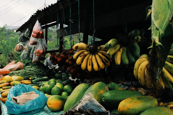 A market stall displaying a variety of fruits and vegetables. There are bunches of bananas hanging from the roof, along with bags of tomatoes and green vegetables. On the counter, there are assorted fruits including papayas, cucumbers, and green beans. The stall is set in a rustic outdoor environment with greenery visible in the background.