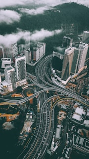bird's eye view photography of high-rise buildings and bridges