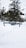 A drone hovers in a snowy landscape with tall evergreen trees in the background. The scene is characterized by the white snow covering the ground and the overcast sky, creating a serene winter atmosphere.