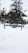 A drone hovers in a snowy landscape with tall evergreen trees in the background. The scene is characterized by the white snow covering the ground and the overcast sky, creating a serene winter atmosphere.
