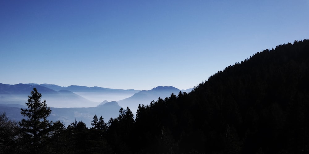 Vue aérienne du parc national de Smoky Mountain