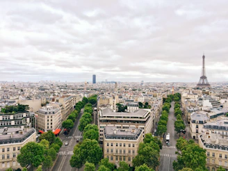 aerial photography Eiffel Tower, Paris