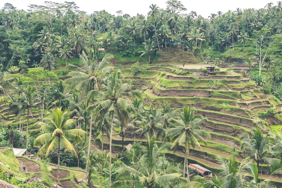 Hill station photo spot Bali Tegal