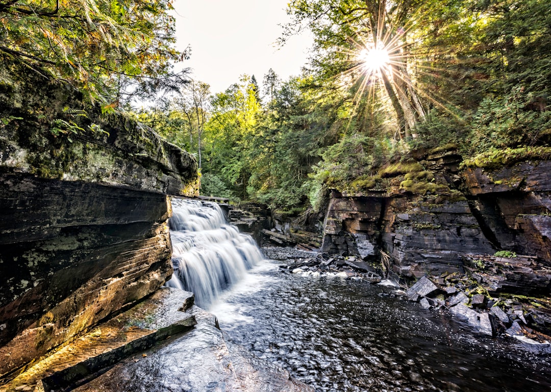 atherton tablelands waterfalls