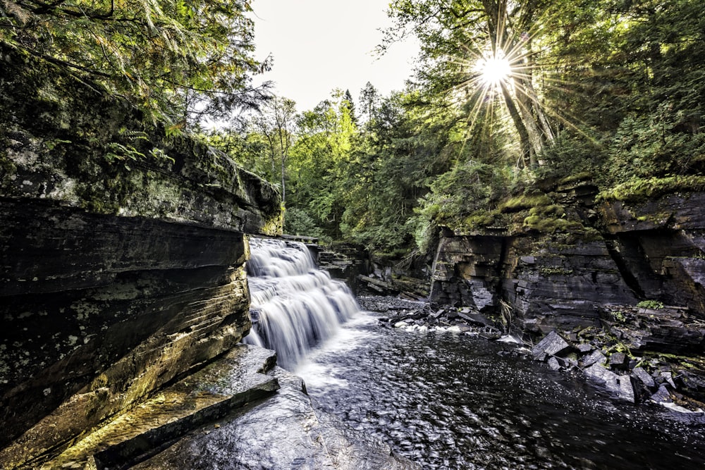 time-lapse photo of waterfalls surrounded by trees at daytime