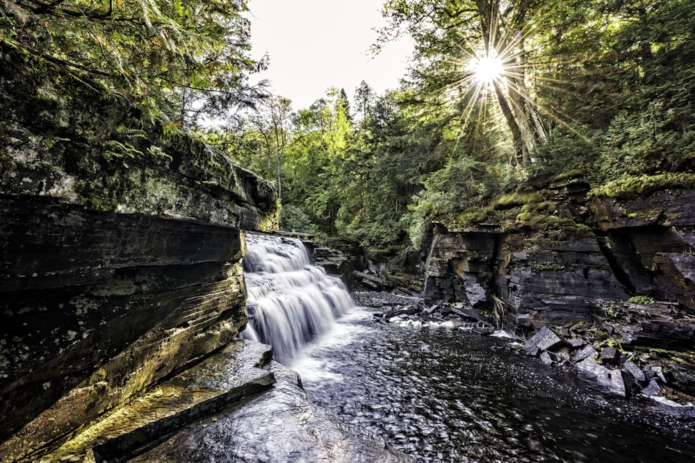 Foto time-lapse de cascadas rodeadas de árboles durante el día