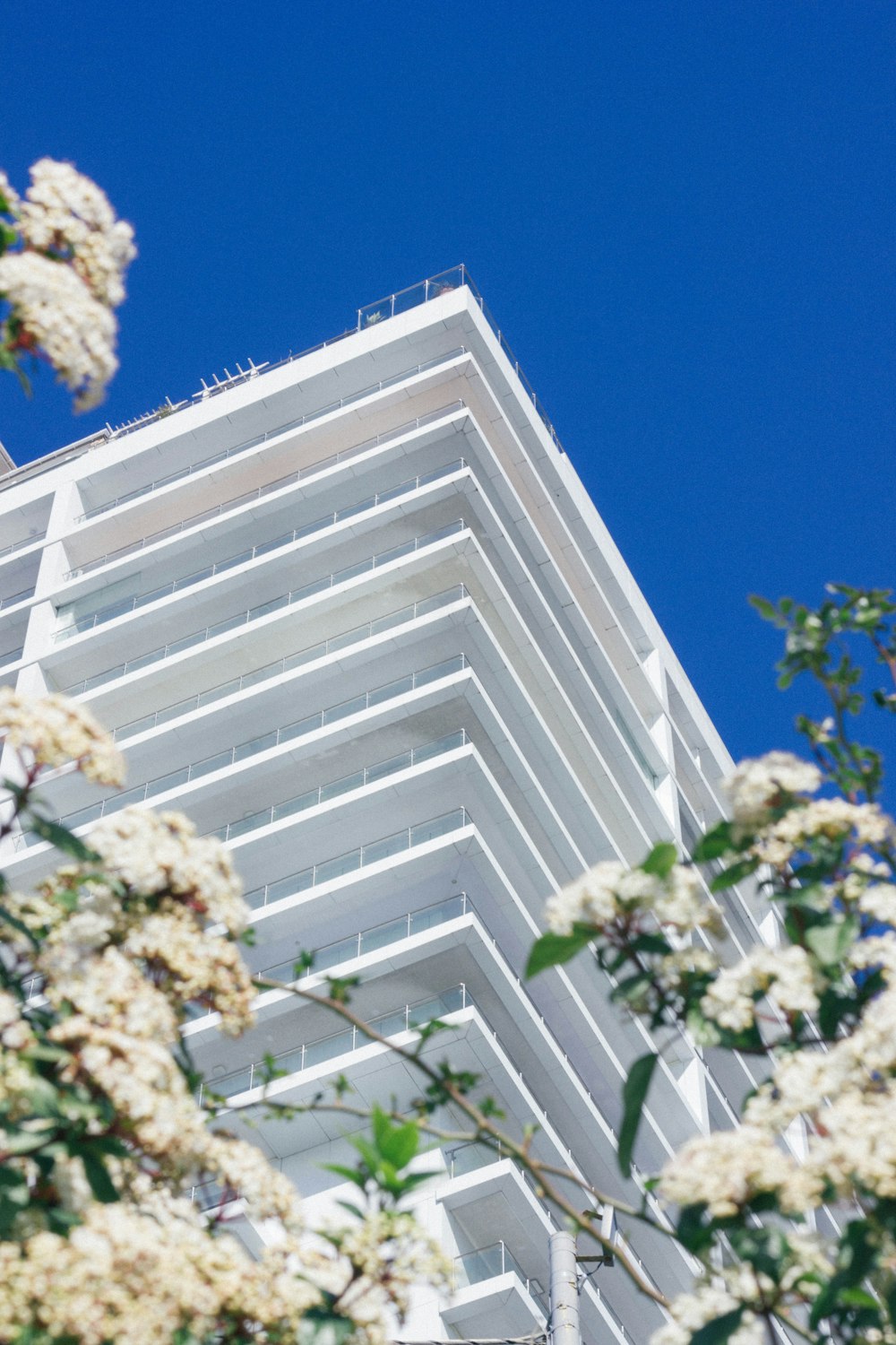 low angle photography of a white building