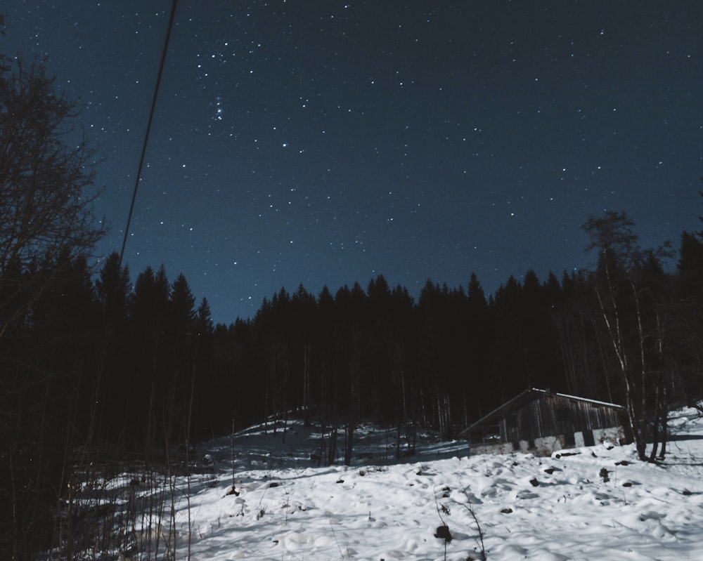 house on snow plain near forest at night