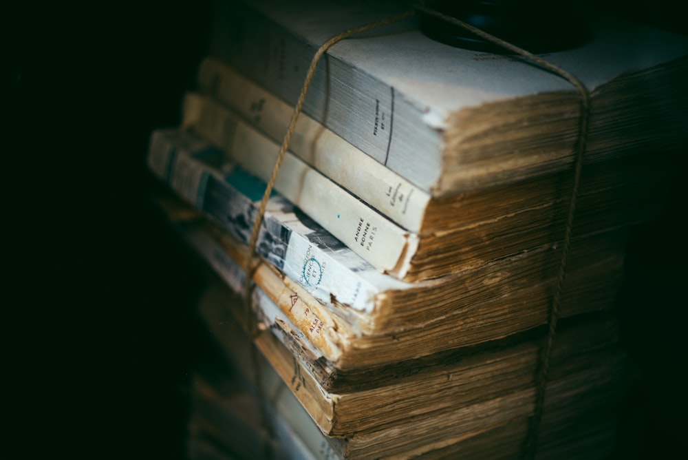 shallow focus photography of old books