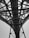 A black and white photo taken from beneath a large steel bridge, showcasing a complex network of intersecting beams and trusses. The intricate pattern of the metalwork is highlighted against the bright sky, emphasizing the engineering and architectural design.