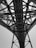 A black and white photo taken from beneath a large steel bridge, showcasing a complex network of intersecting beams and trusses. The intricate pattern of the metalwork is highlighted against the bright sky, emphasizing the engineering and architectural design.
