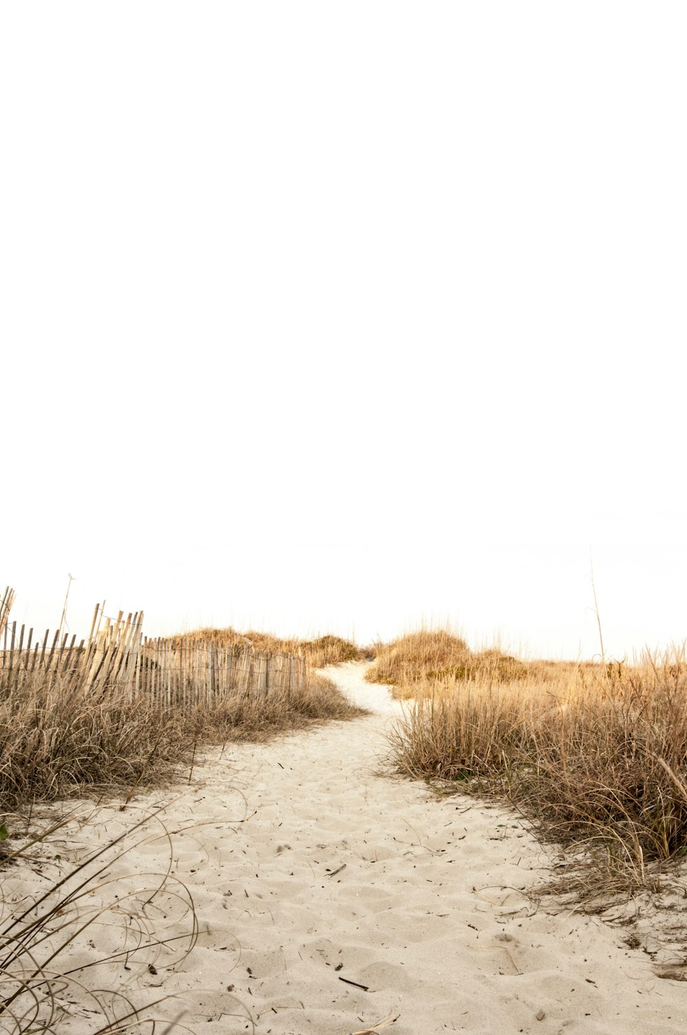 brown pathway between grass during daytime