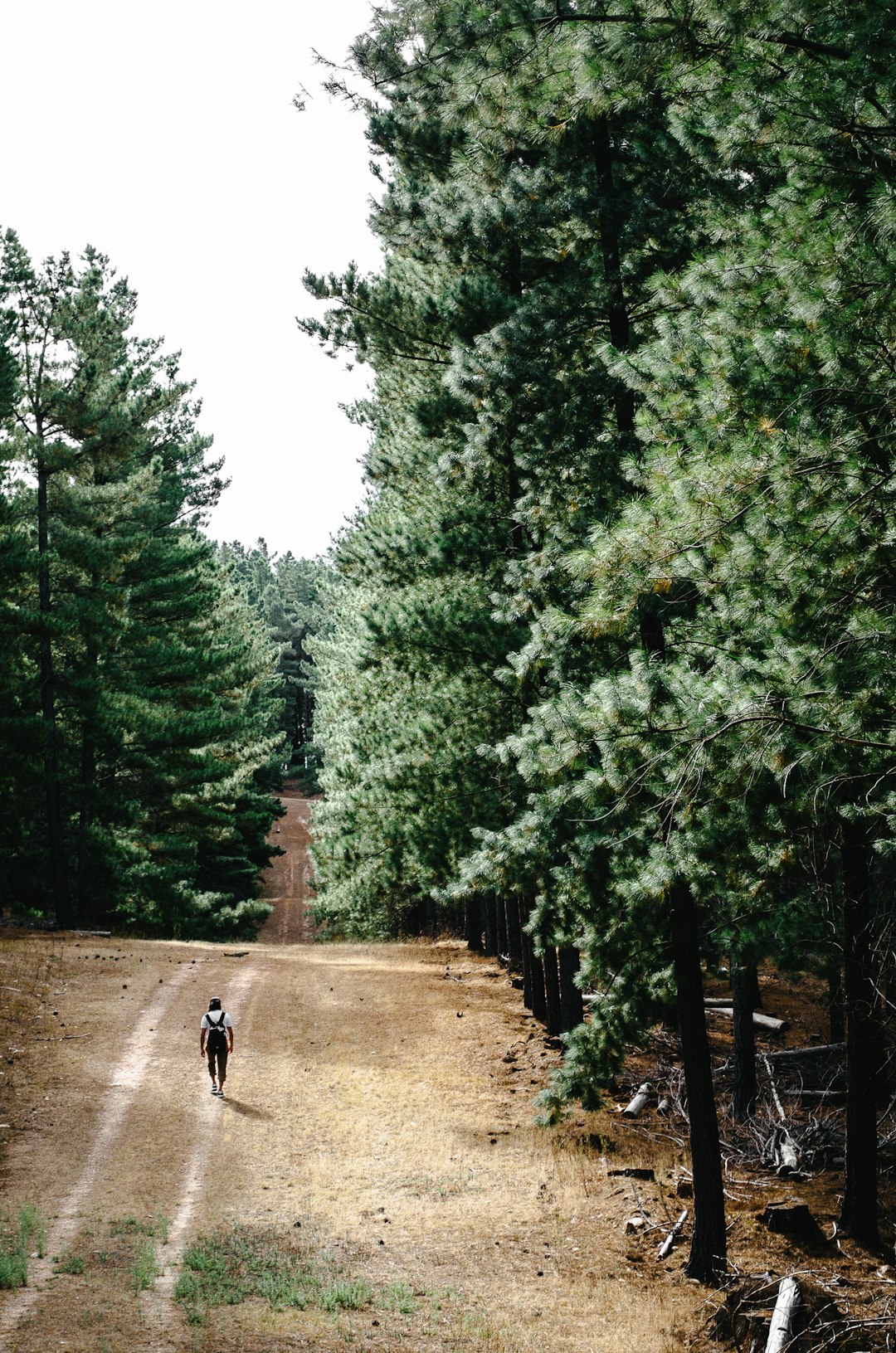 Travel Tips and Stories of Mount Crawford in Australia