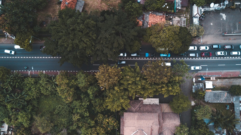 aerial view photography of traveling vehicles surrounded by trees during daytime