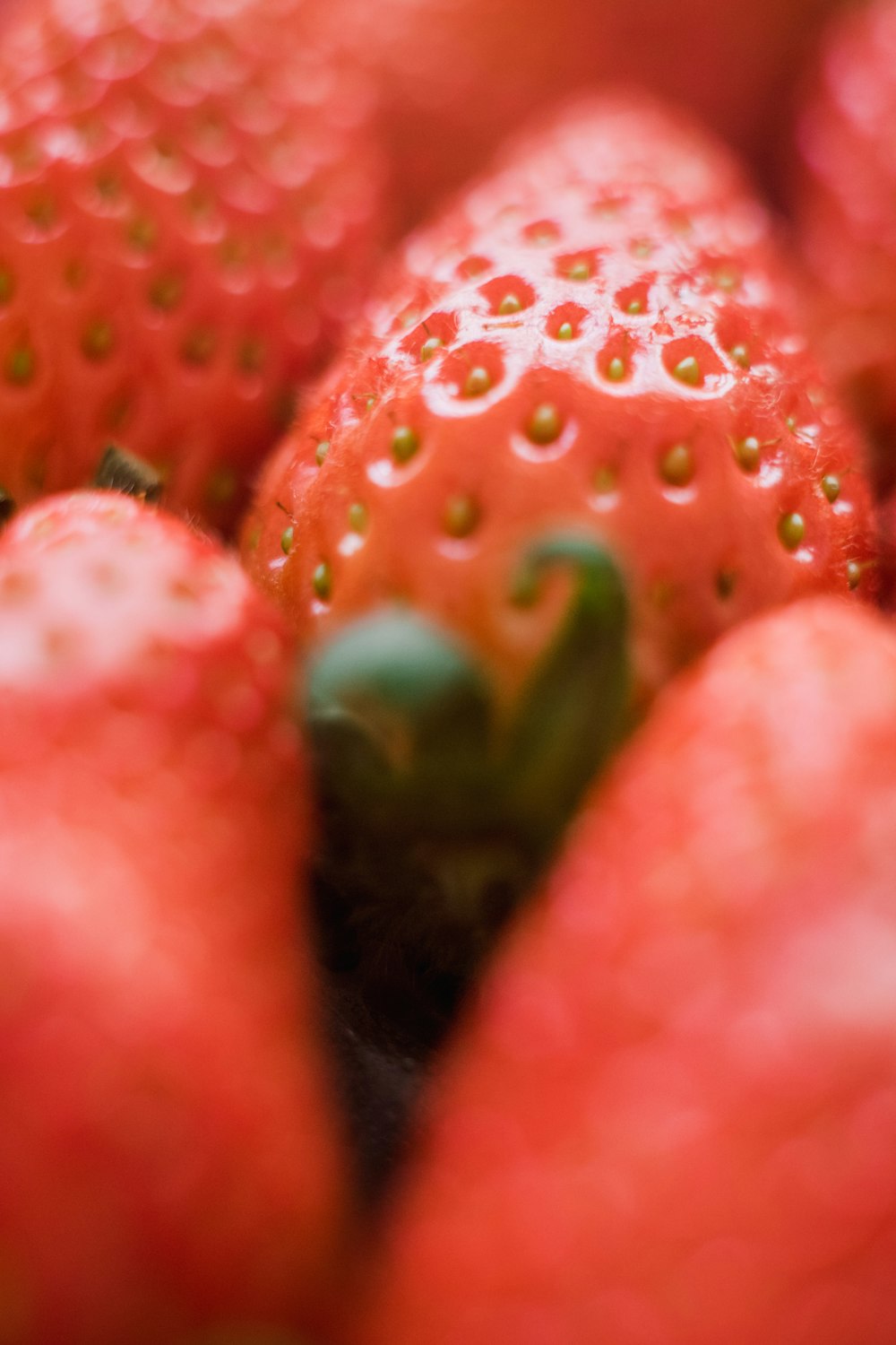 foto de closeup de morango