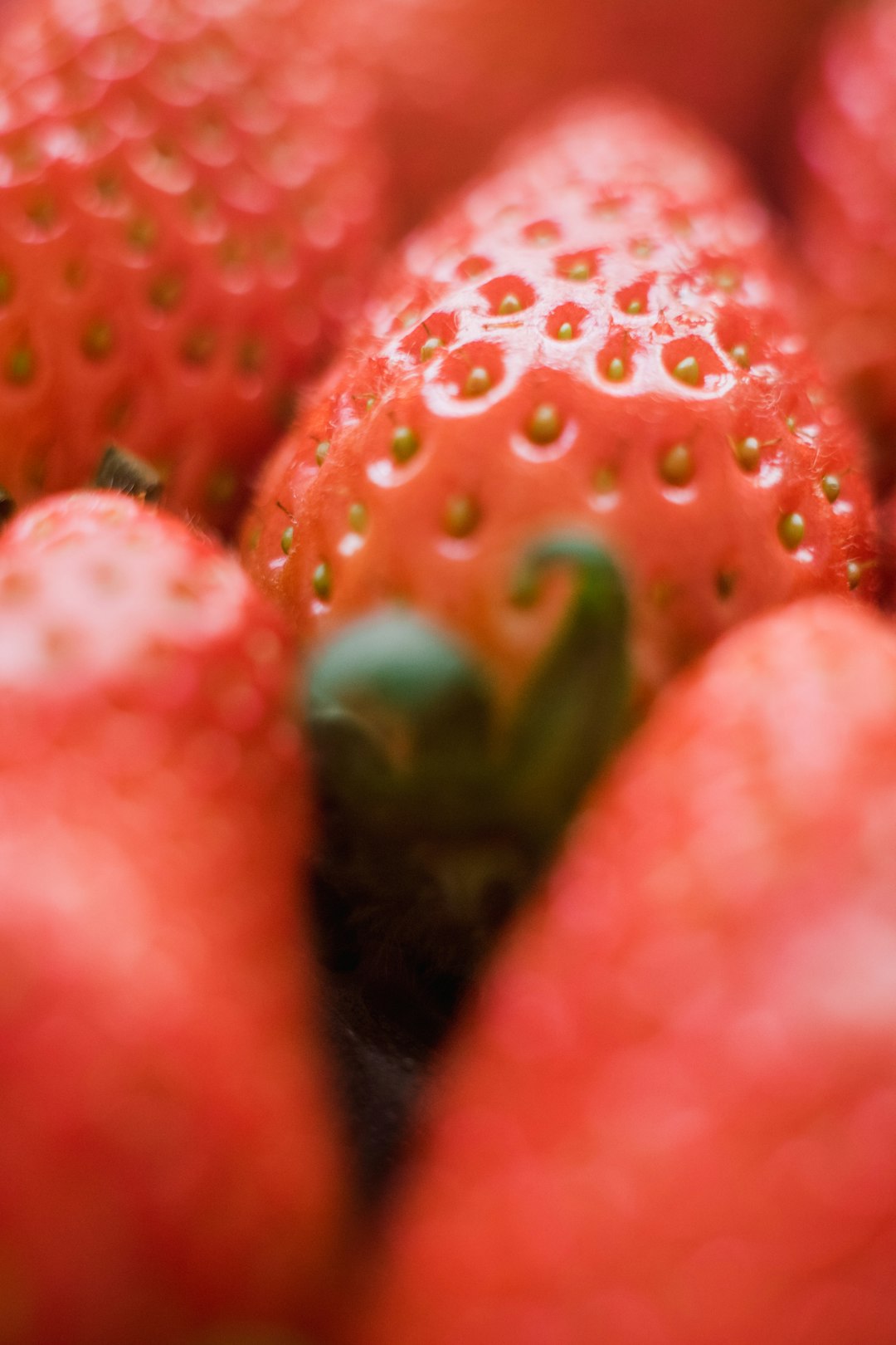 closeup photo of strawberry