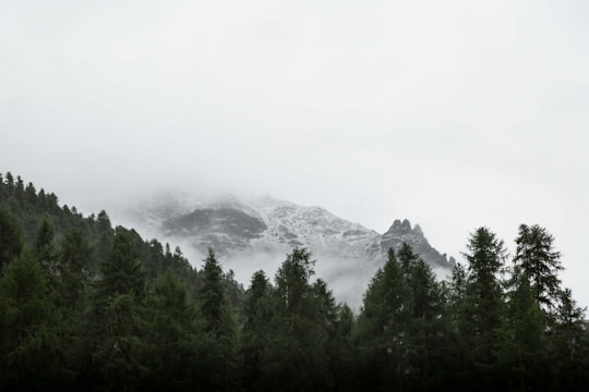 Piz Corvatsch things to do in Bregaglia