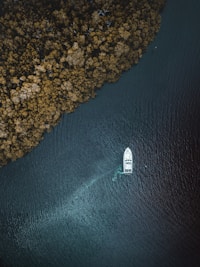 bird's-eye view of boat on body of water