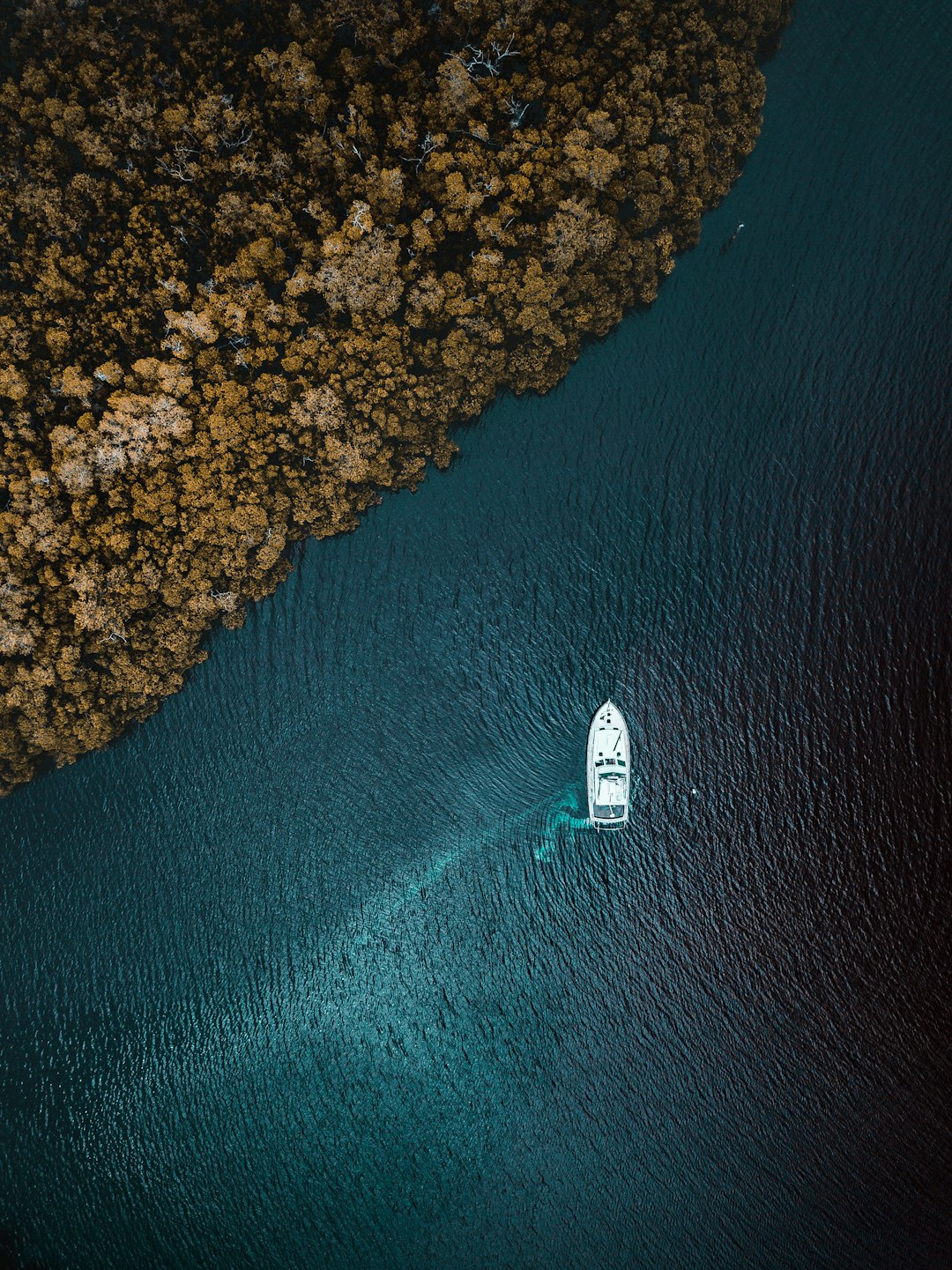 bird's-eye view of boat on body of water