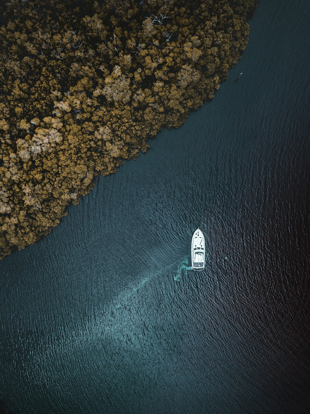 Vista a volo d'uccello della barca sullo specchio d'acqua