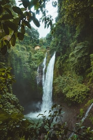 A lush green forest surrounds a tall waterfall cascading down a rocky cliff. The waterfall creates mist at its base, blending with the vibrant greenery. A small cabin is visible atop the cliff, nestled amidst the dense foliage. Overhanging branches and leaves frame the scene, adding depth and a sense of tranquility.