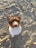 A fluffy puppy with blue eyes and brown and white fur is looking up. The sandy background indicates a beach setting, with visible paw prints and small mounds in the sand.
