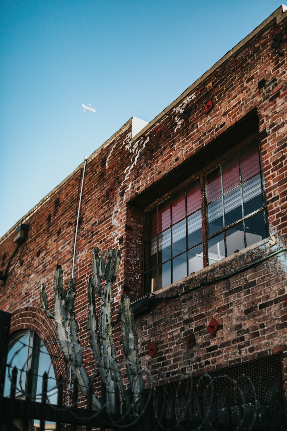 brown concrete building