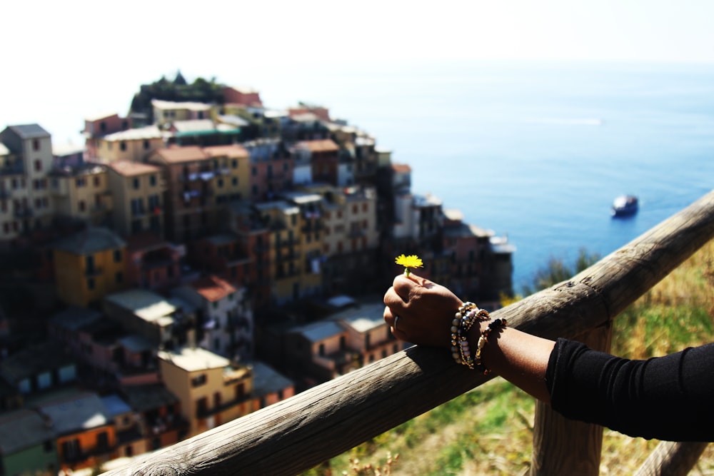 person holding yellow flower beside fence