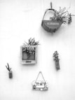 A minimalist wall display featuring various decorative items. A small basket labeled 'ALLSEASONS' holds some flowers, while a wooden frame with the word 'Home' contains a bouquet of flowers. To the left, a simple piece of wood holds a small artificial cactus. Below, a rustic sign with Chinese characters adds a touch of cultural detail. Overall, the composition is artistic and clean.