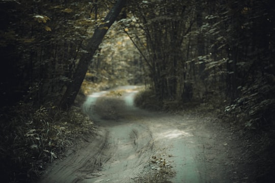 empty dirt road between green leaf trees at daytime in Kazan Russia