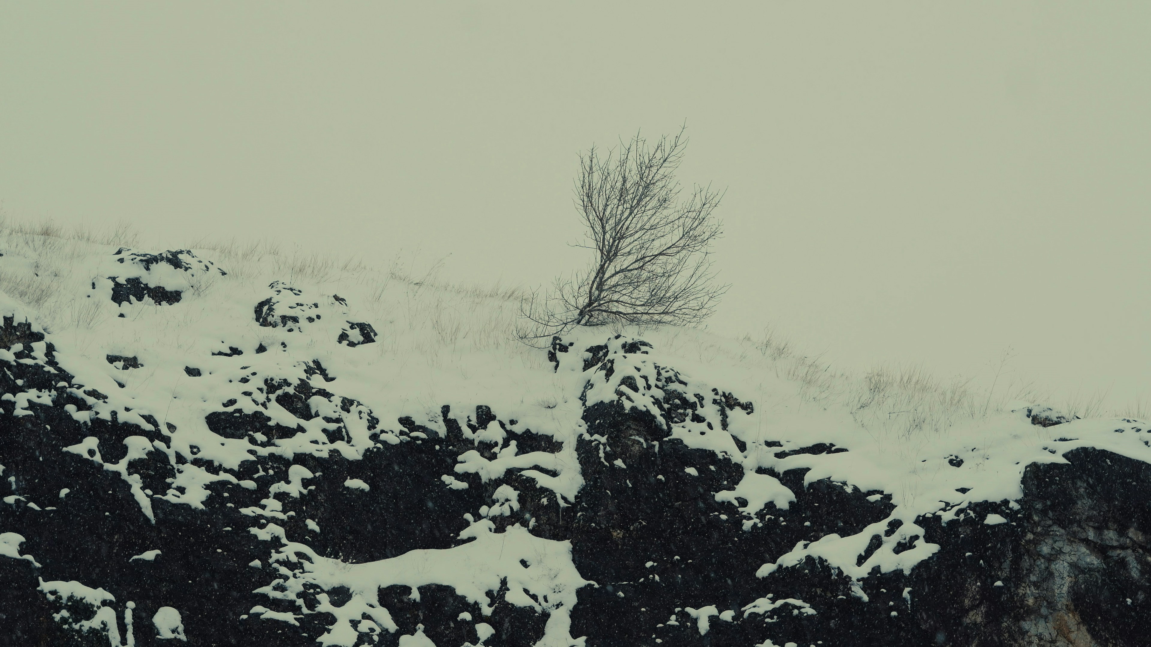 餐风啮雪