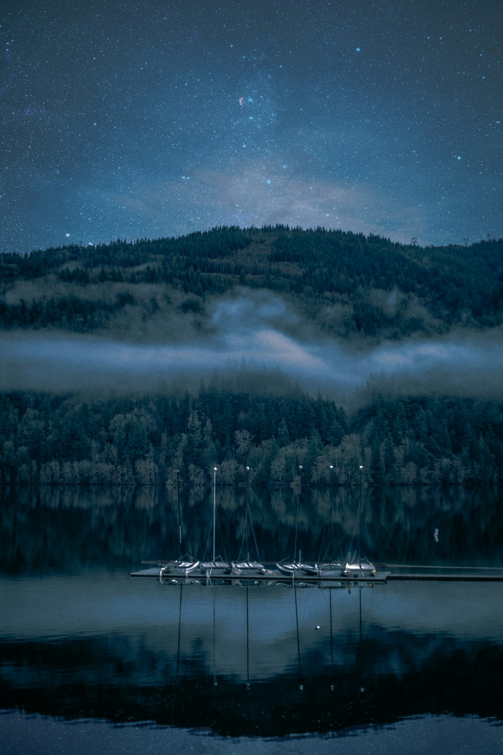 landscape photography of body of water surrounded by trees