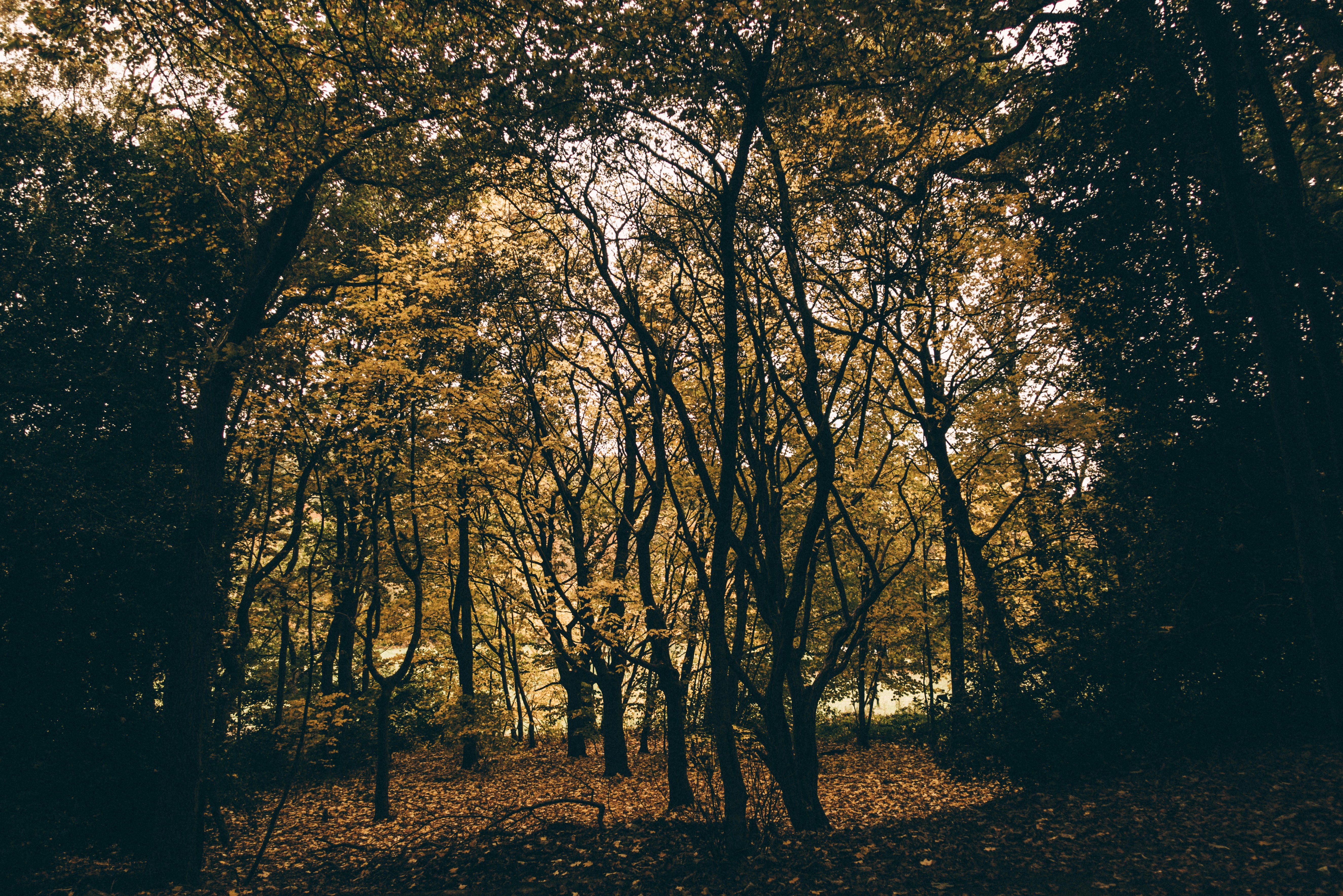 Photo by dan__burton