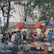 A vibrant market scene filled with colorful stalls and enthusiastic locals engaging with tourists.