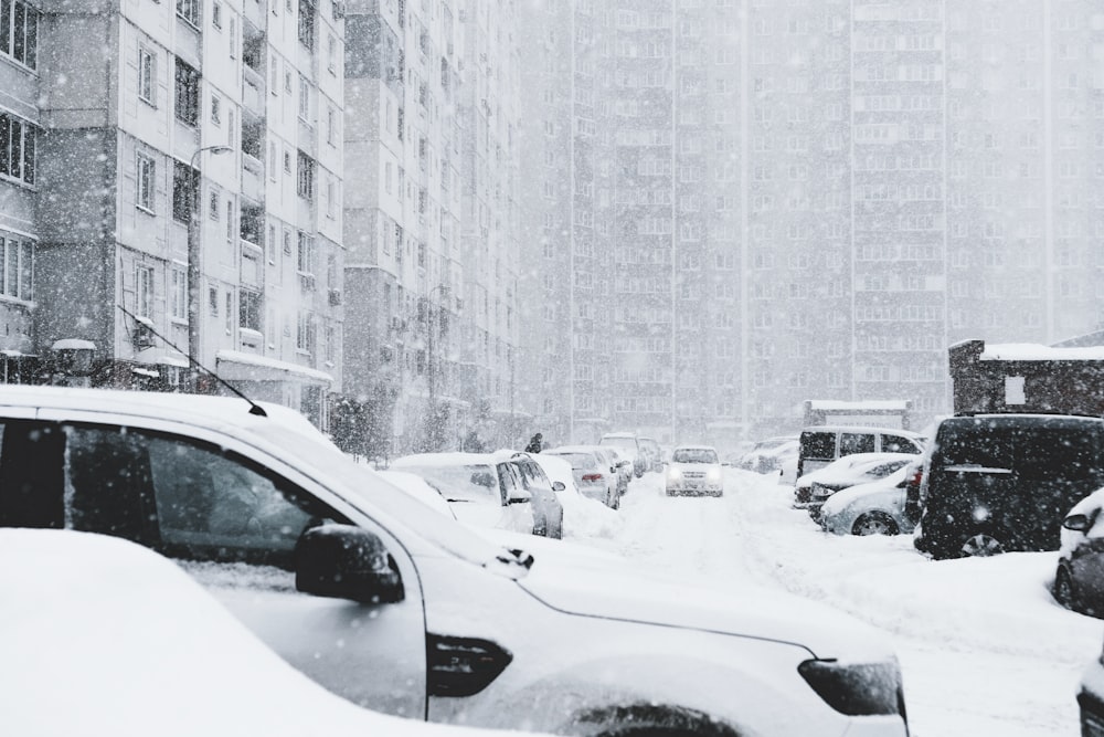 vehicles parked along the road covered with snow