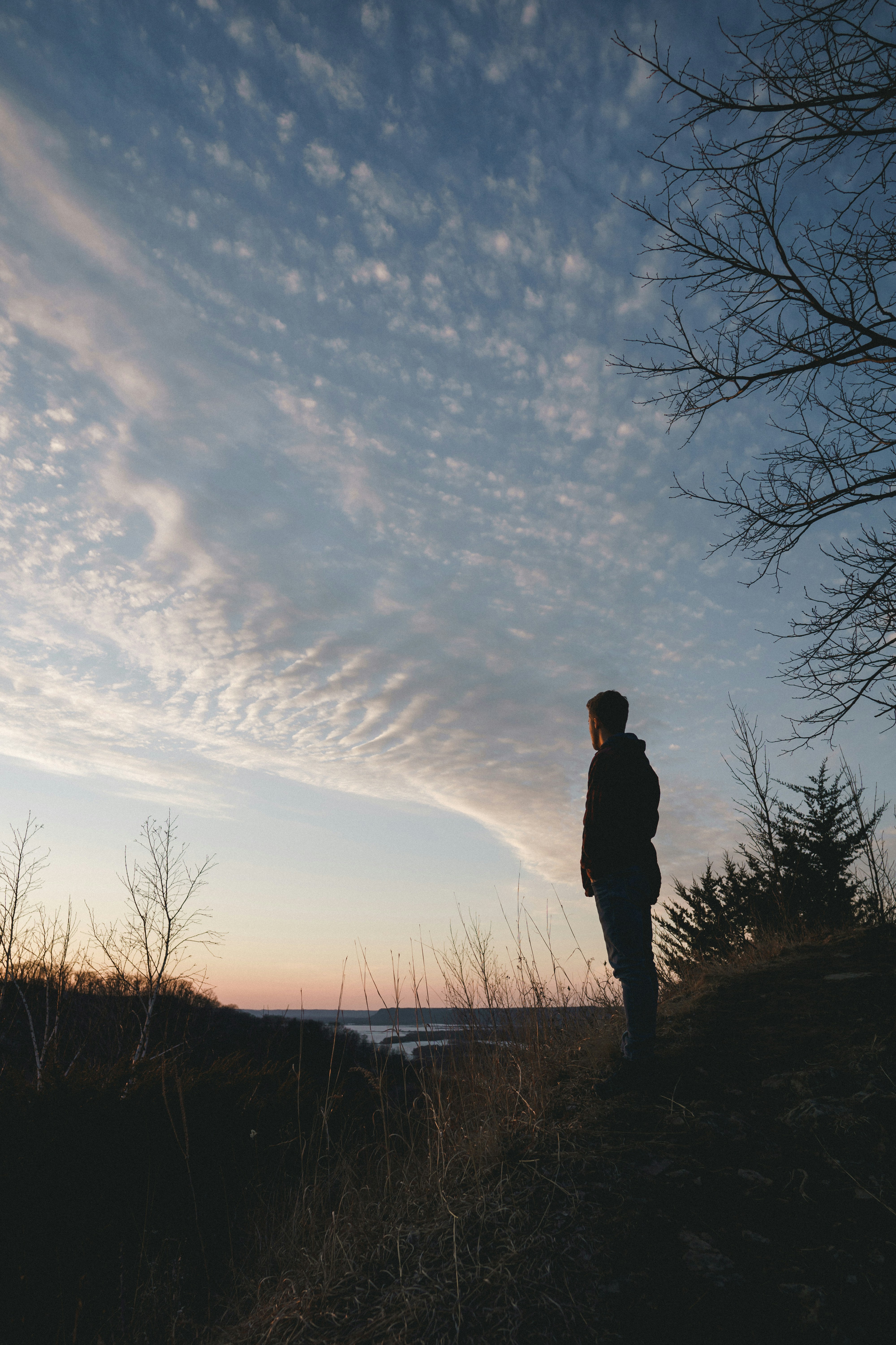 How Provenance Shapes Value More Than Quality