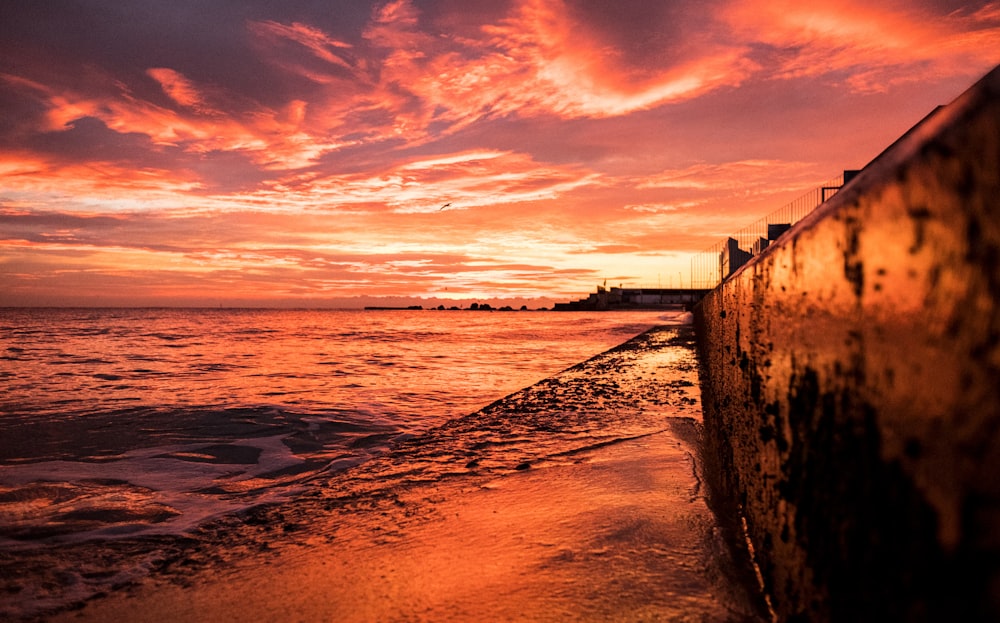 seashore under golden hour