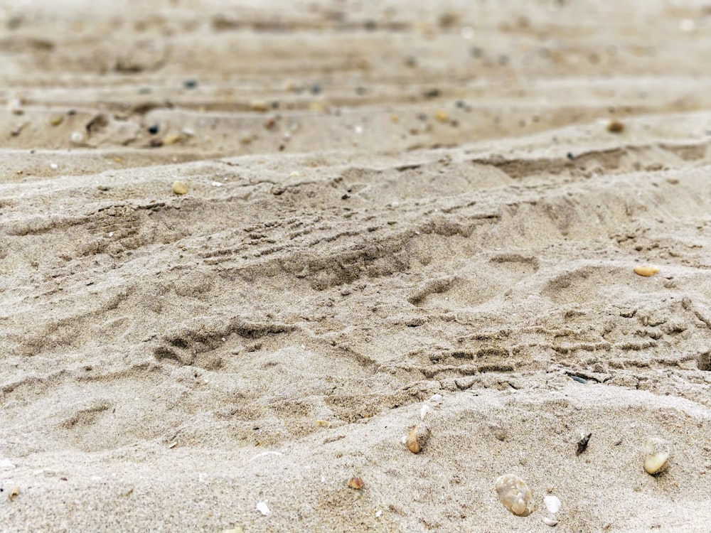 fotografia di paesaggio di sabbia marrone