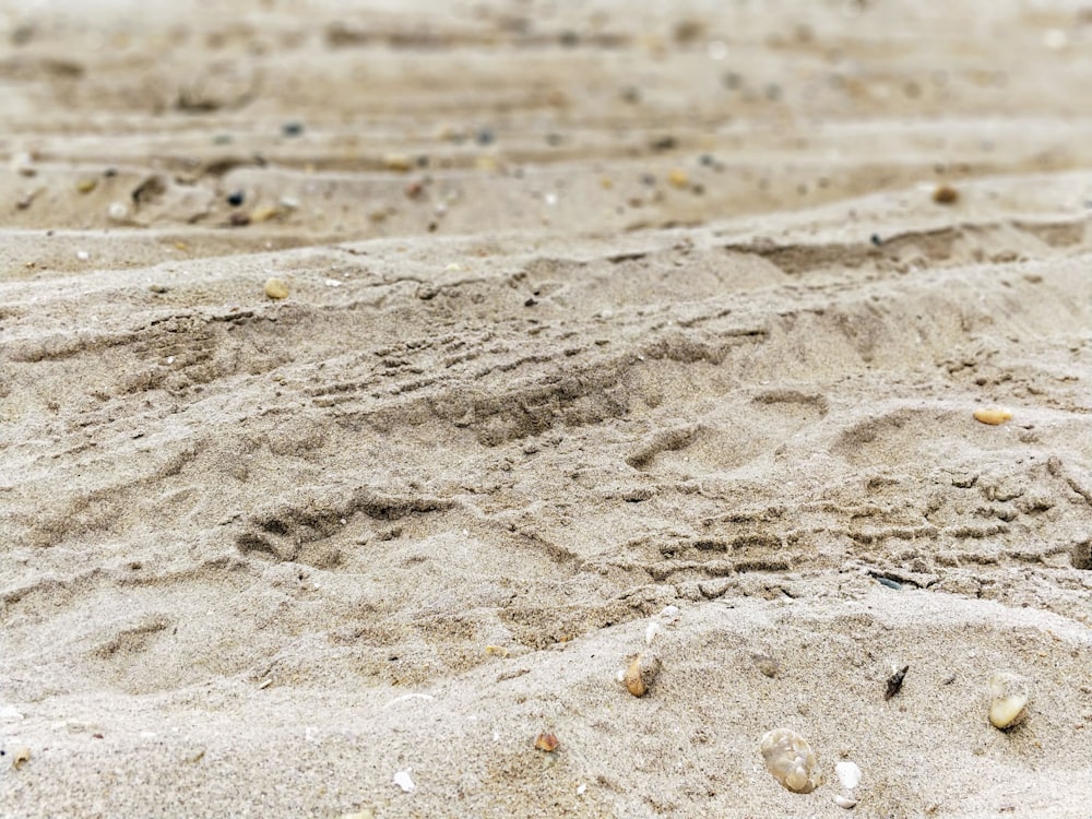 photographie de paysage de sable brun