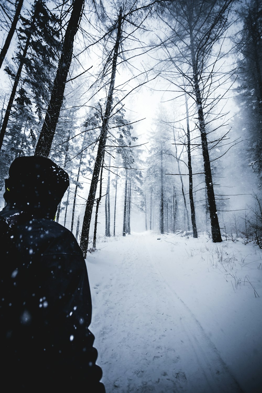 person walking on snowfield