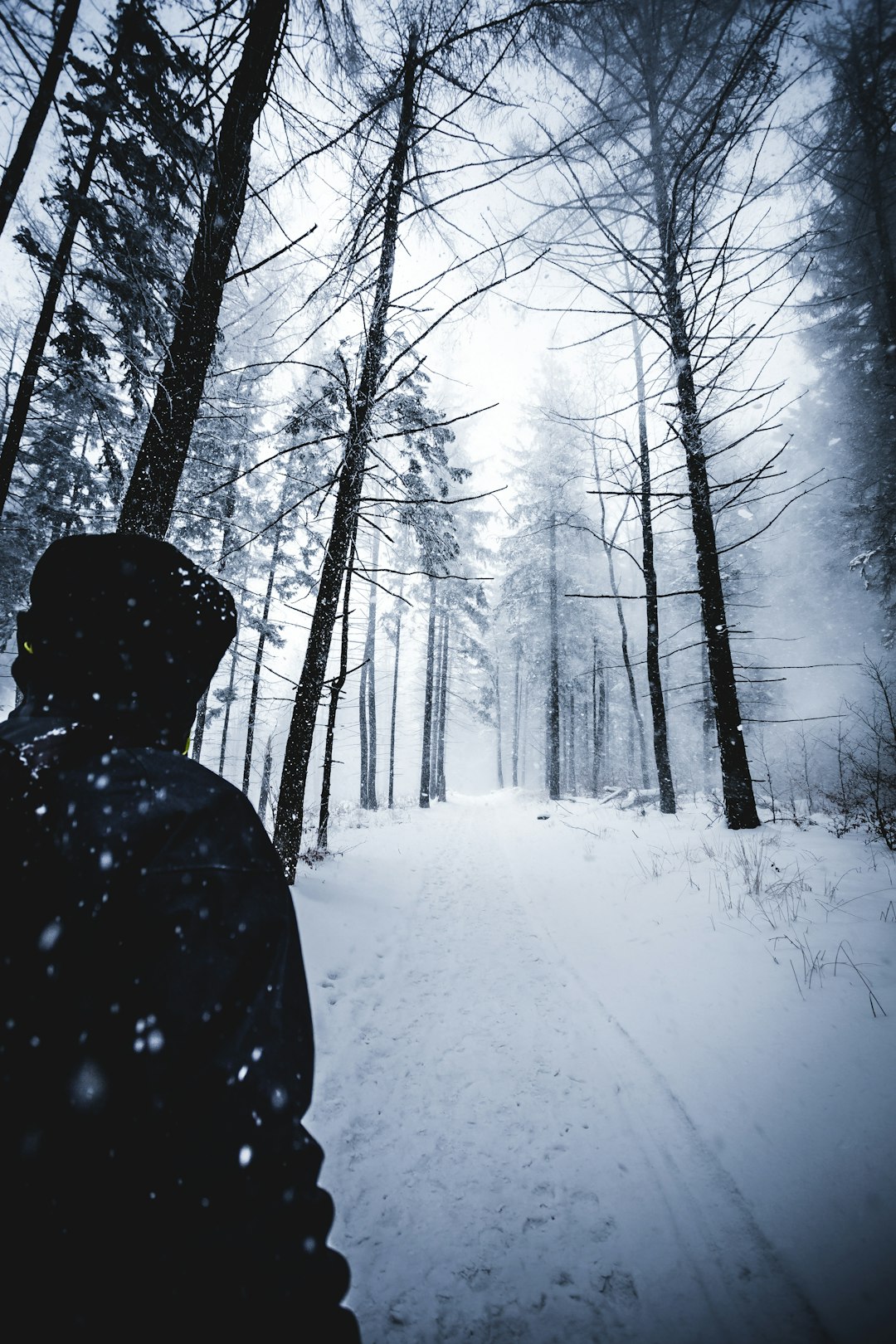 Forest photo spot Błatnia Schronisko Górskie PTTK Zakopane