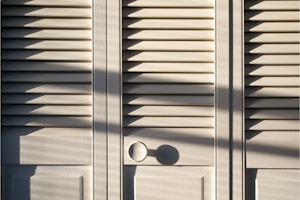 Frosted Glass Door