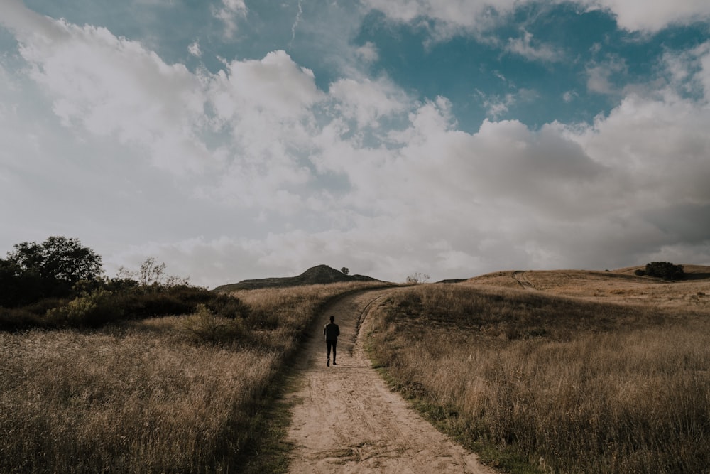 person walking on road between grasses