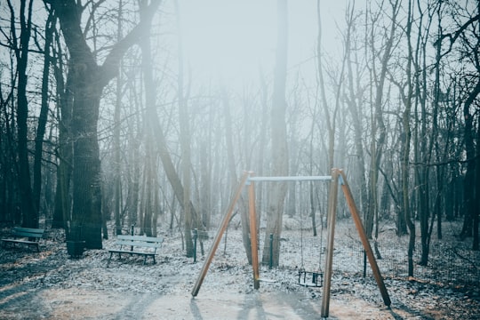 gray and brown metal swing outdoor in Poznań Poland