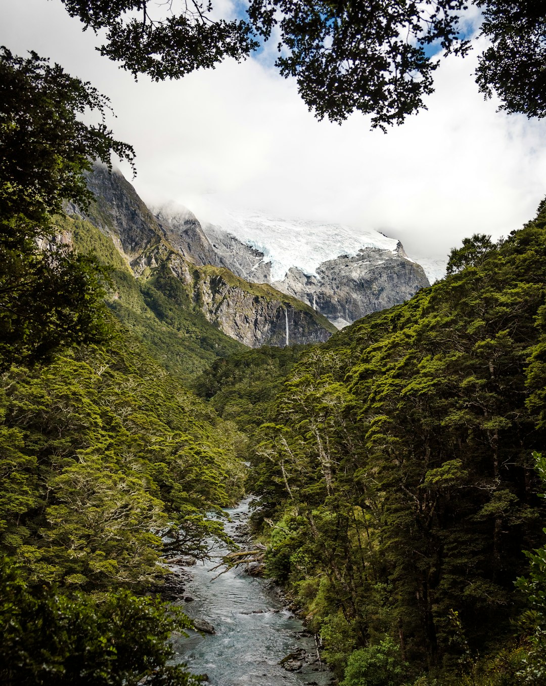 Nature reserve photo spot Rob Roy Glacier Trail Head and Car Park Mount Aspiring National Park