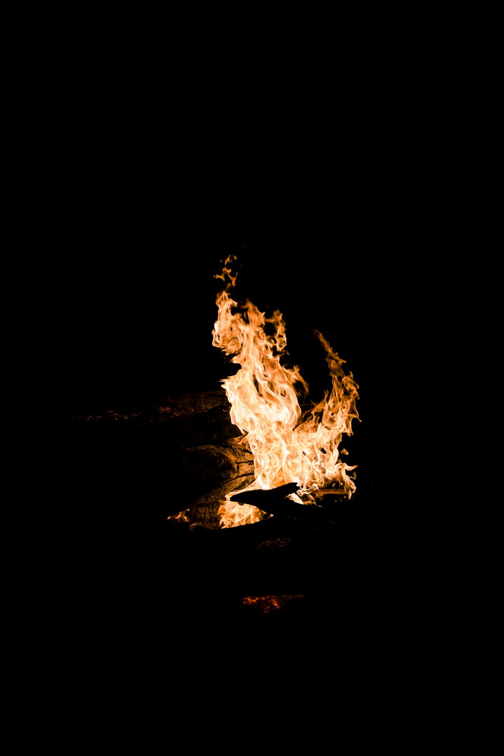 burning bonfire at nighttime