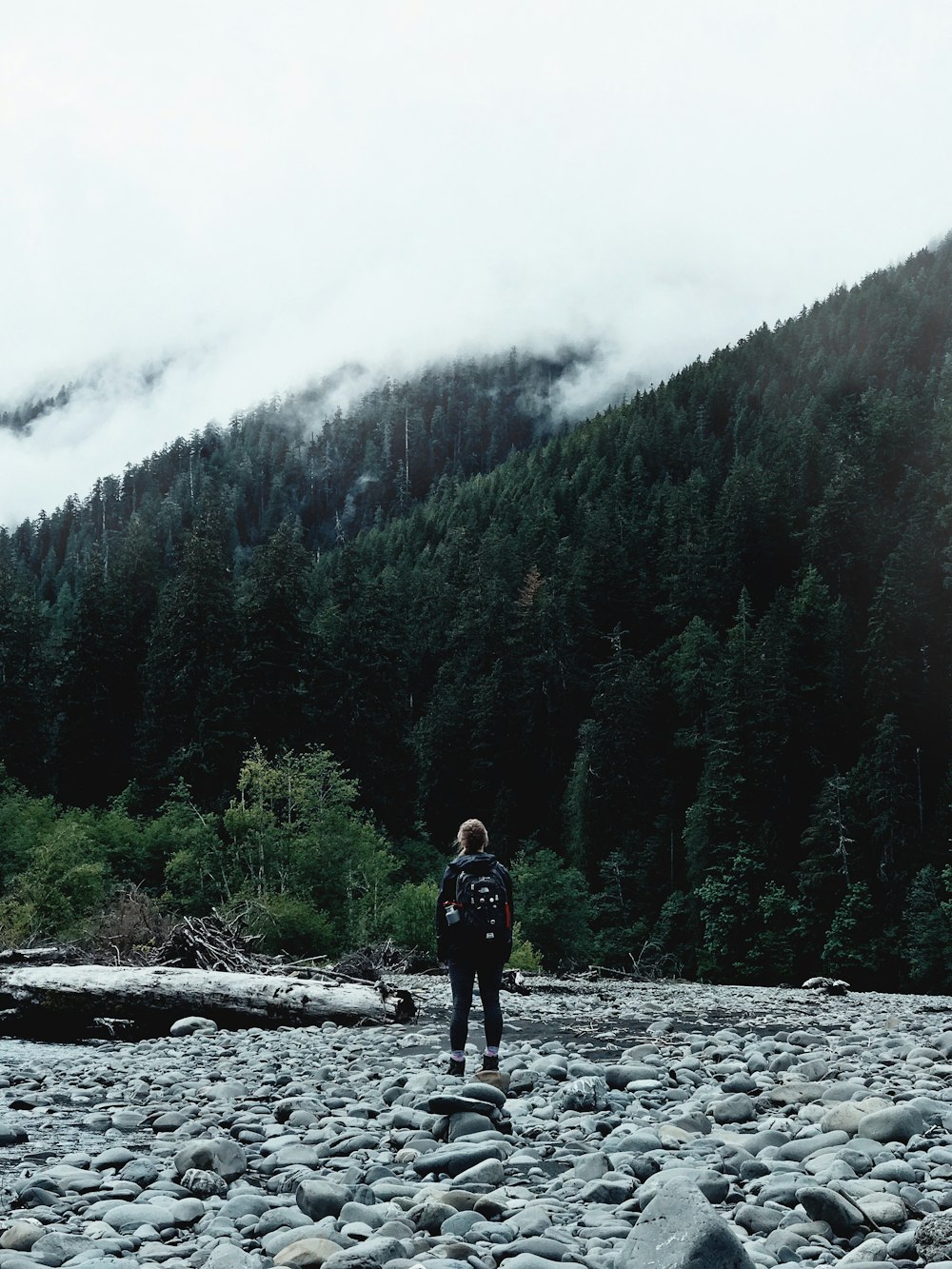 woman stand on rock pathway near pine tree