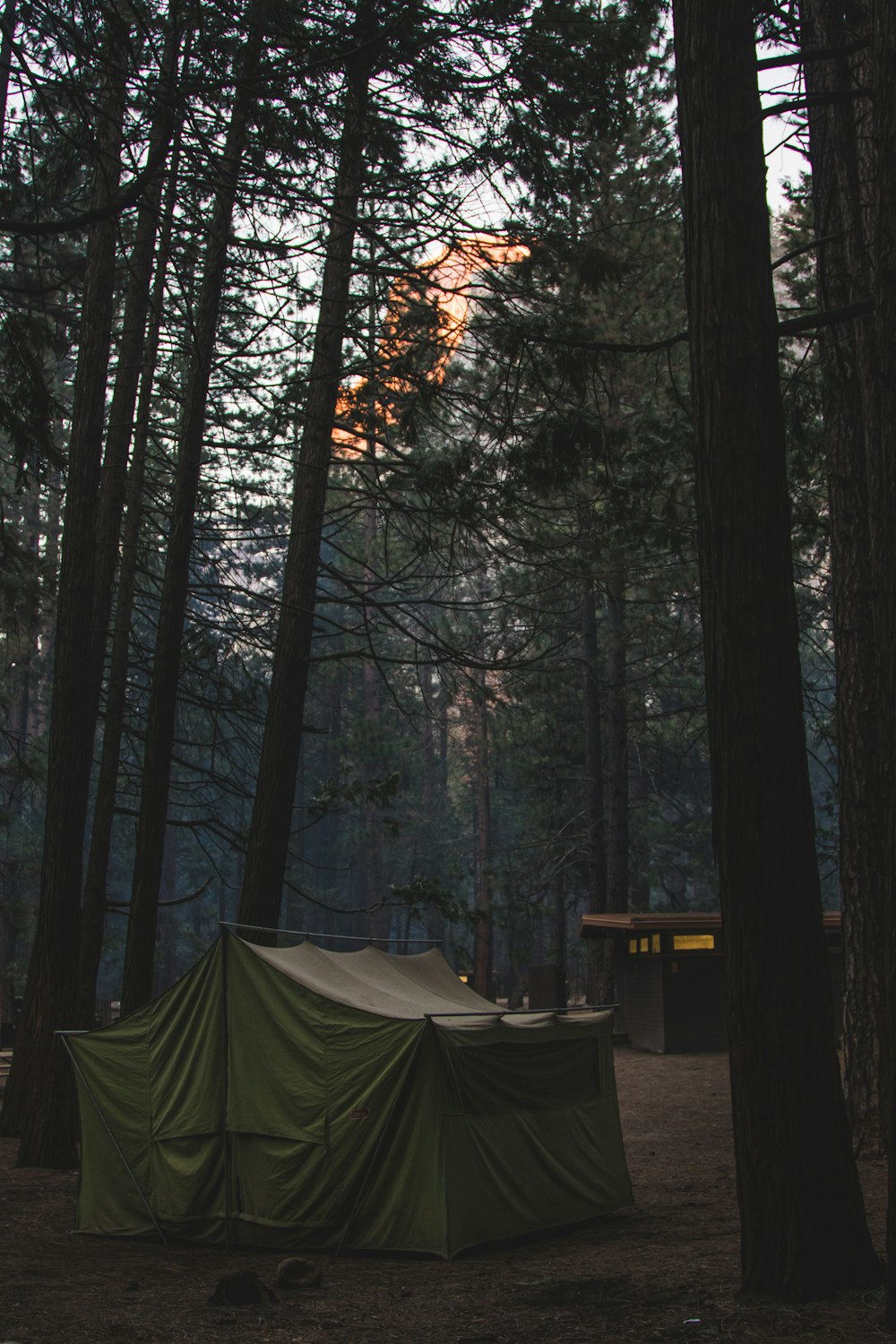 green tent in the middle of forest