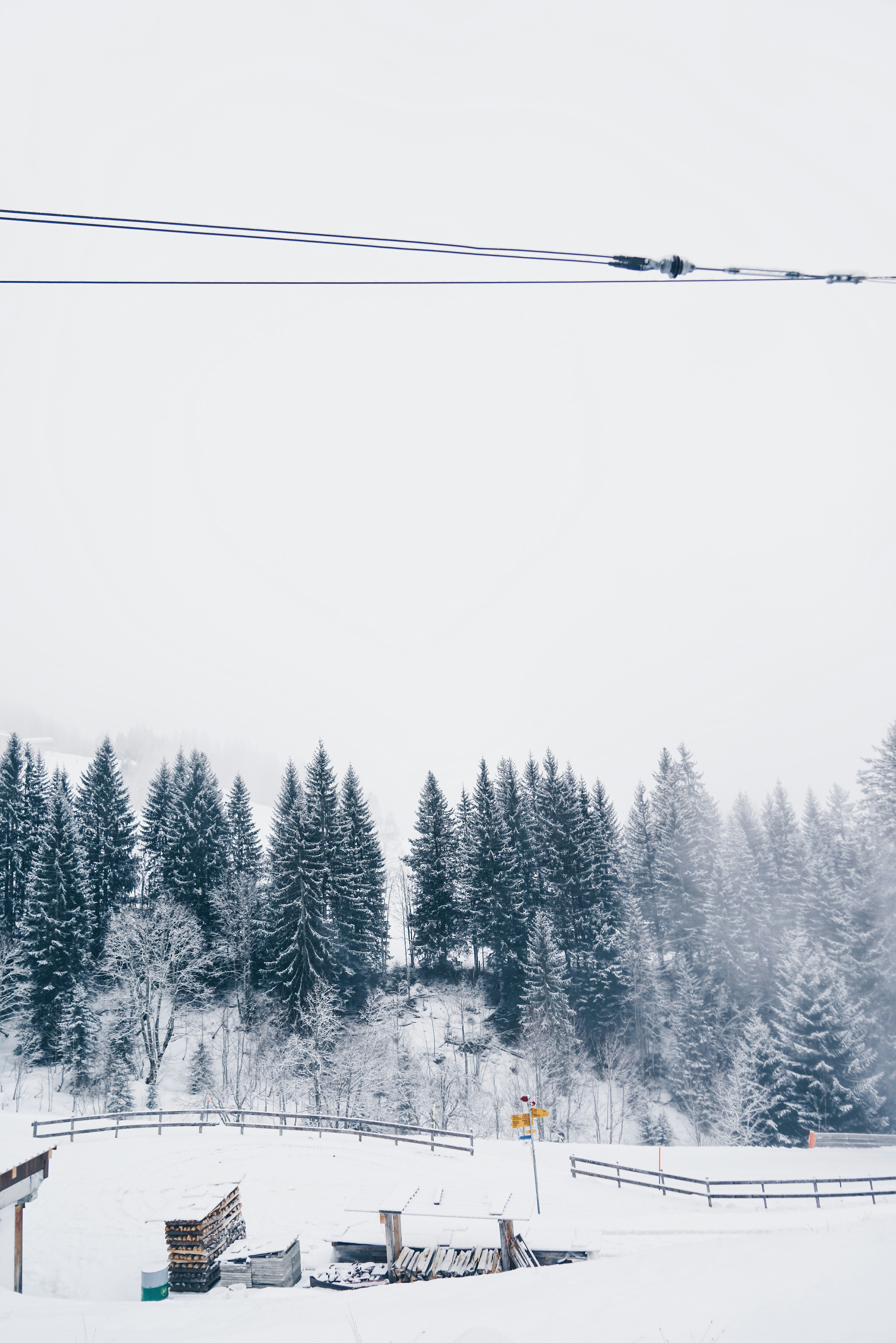 Photo by jascentleung